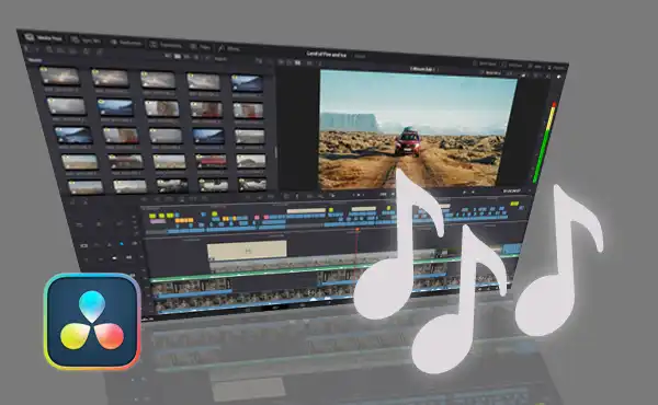 Count the music used in Resolve